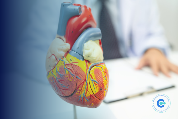 câncer e doenças cardiovasculares